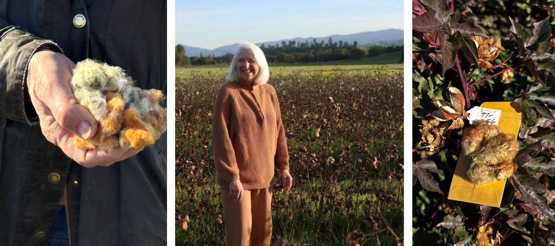Sally Fox - Organic Cotton Pioneer & Founder of FoxFibre